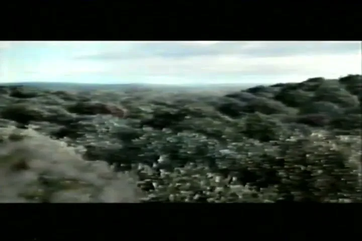 Barclays "Money Tree" (2004) commercial still