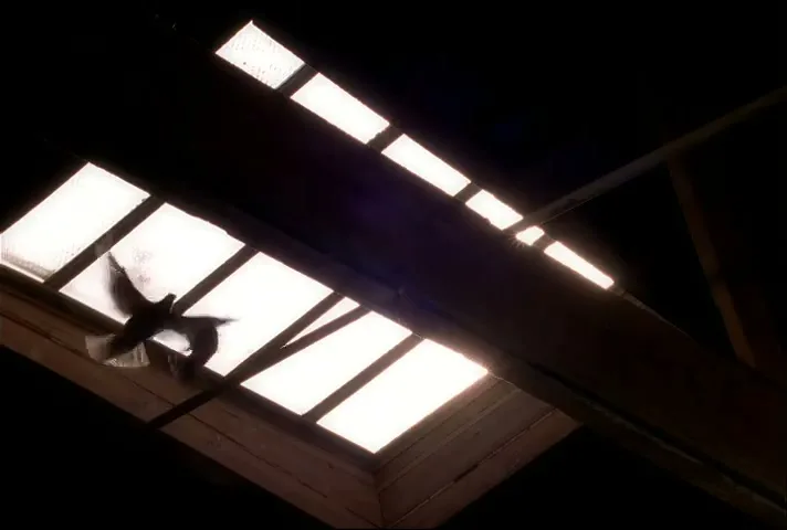 Harley-Davidson “Birds” (1996), frame 4