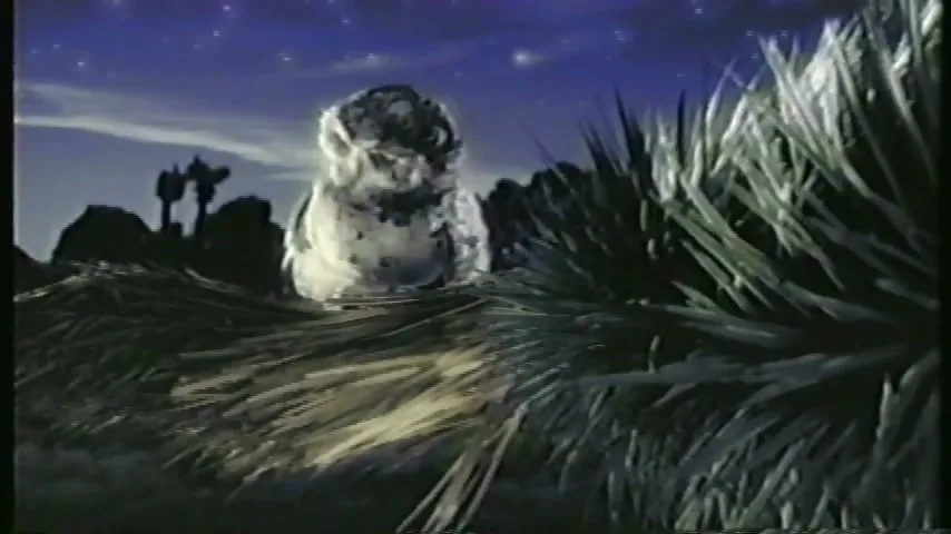 A CGI owl with white and brown feathers sits in a desert landscape at night, surrounded by tall grass and silhouetted cacti under a starry sky.