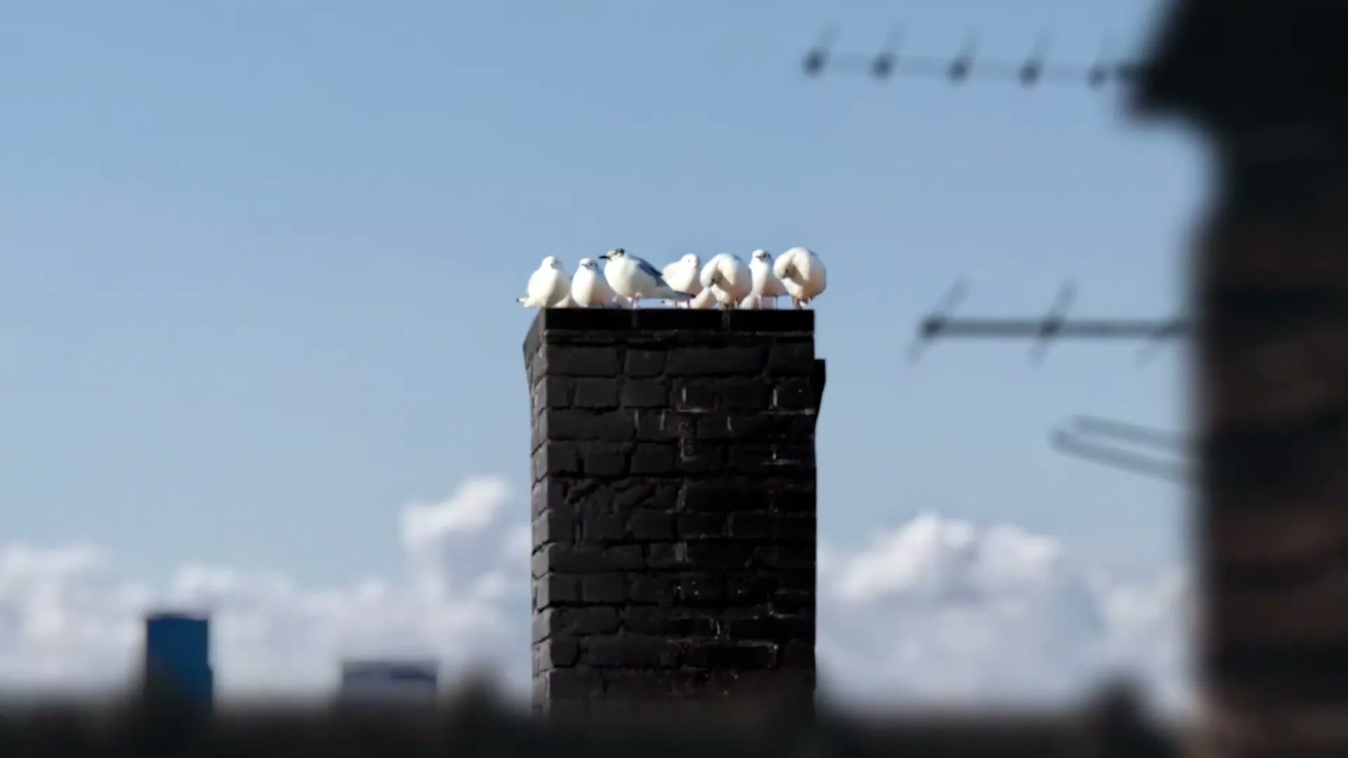Guinness “Welcome Back” (2021), frame 6