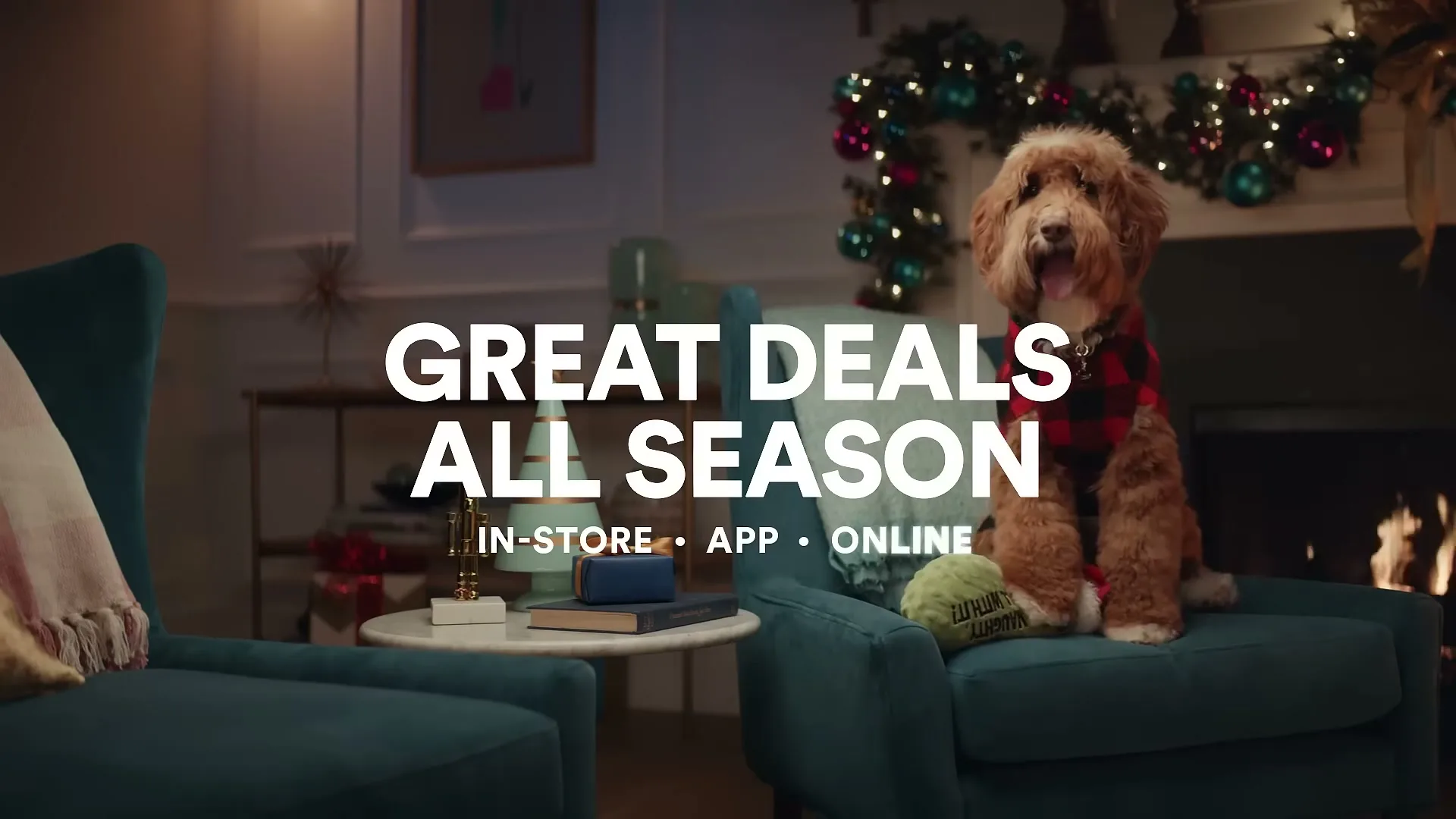 Petco "It's What We'd Want If We Were Pets" (2021) commercial still