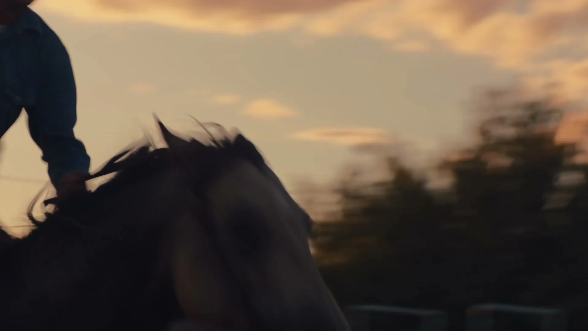 OnePlus “Never Settle”, directed by Sam Jones