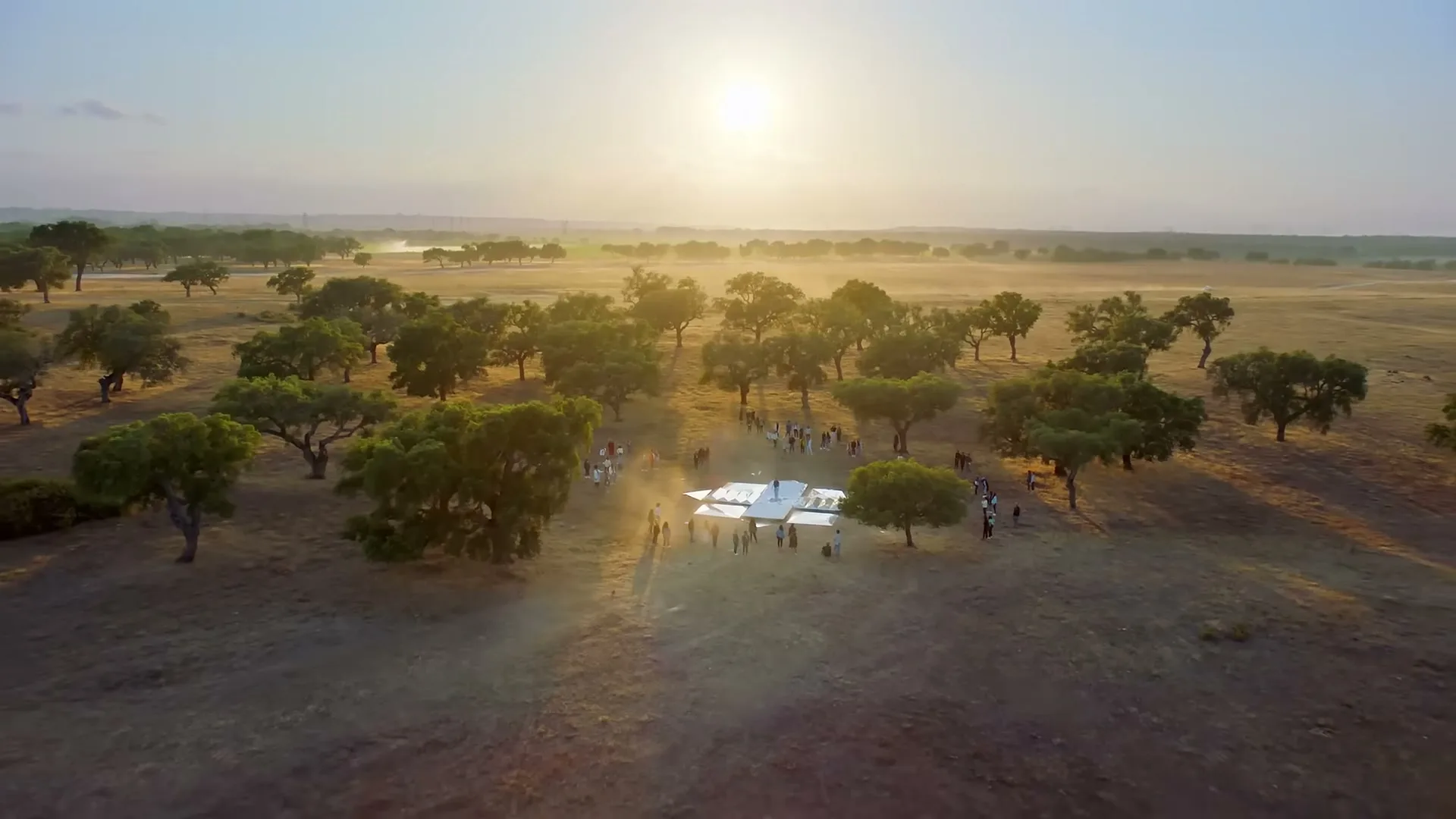 Zalando "Free to be" (2019) commercial still