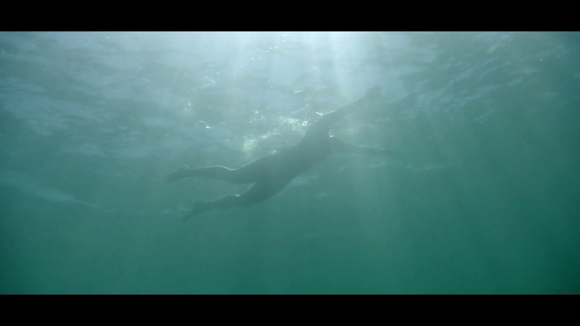 A young woman swims underwater in a body of water, with sunlight filtering through the surface.