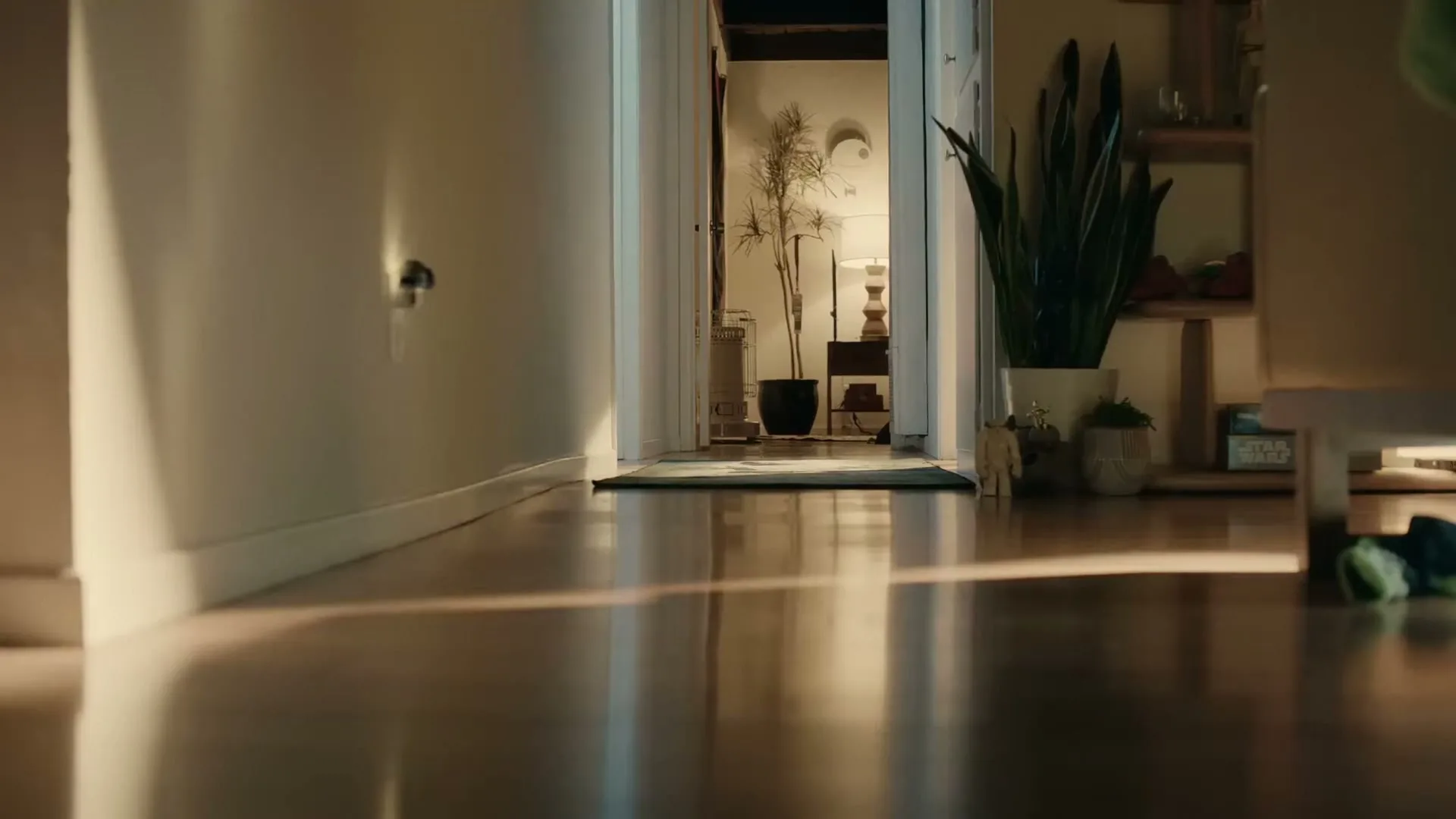 A fluffy white cat runs down a sunlit hallway towards a person's legs, who is holding a small object.