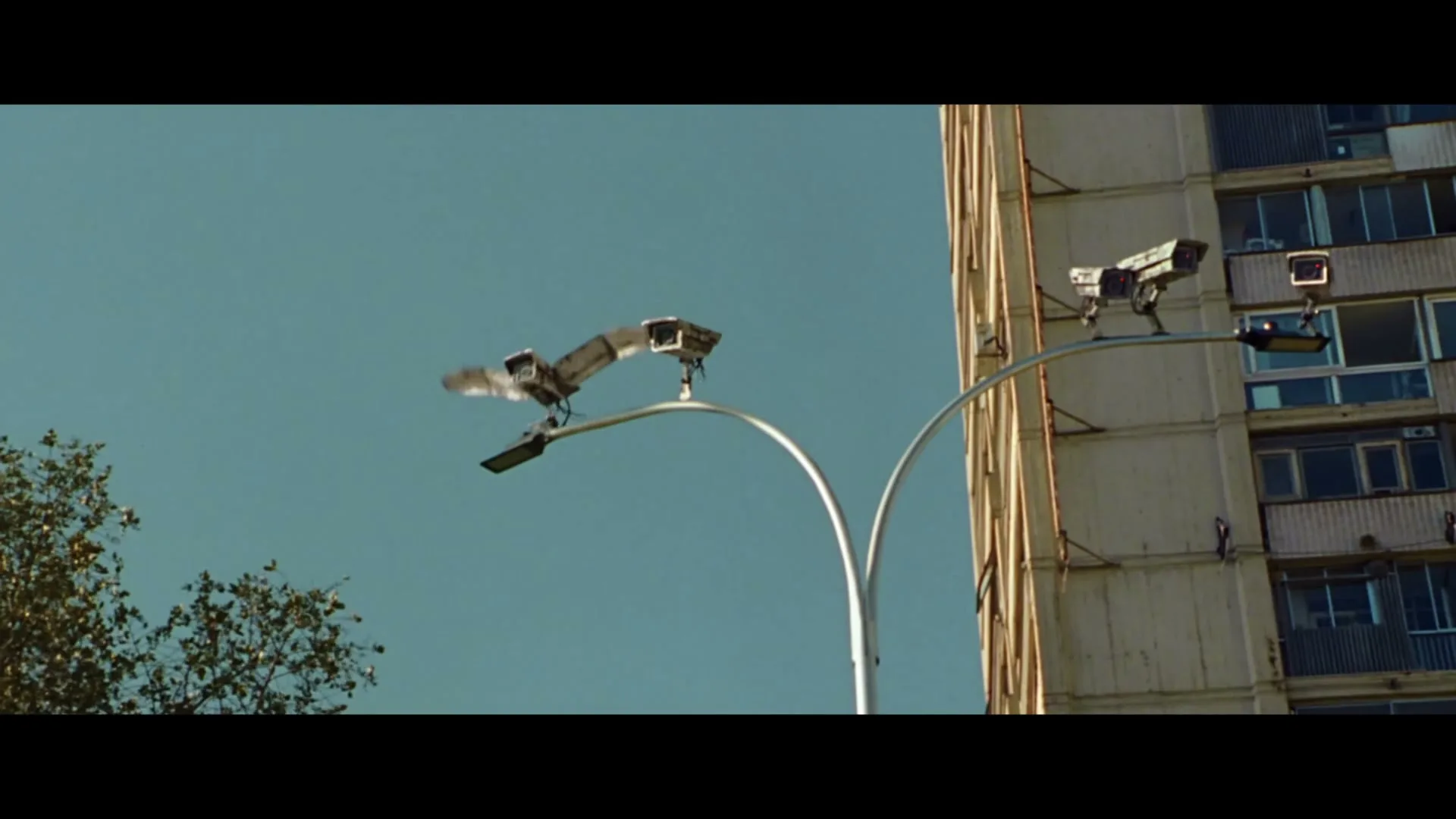 A bird-like drone with wings flies past a street light with security cameras, next to a tall apartment building under a clear blue sky.
