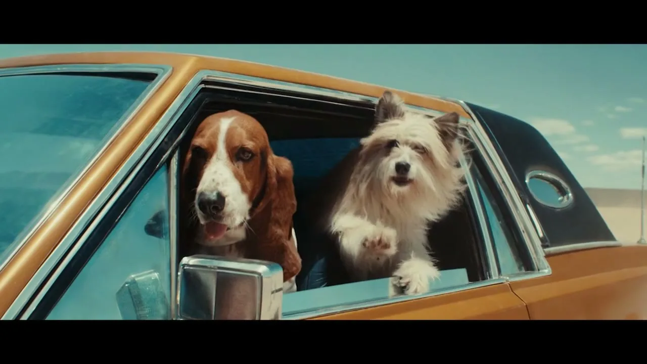 Two dogs, a brown and white basset hound and a fluffy white dog, stick their heads out of a car window, enjoying the ride through a desert landscape.