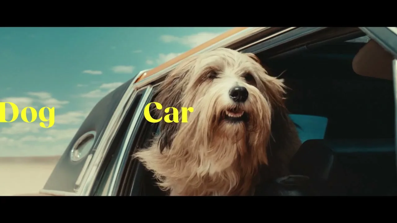 Lay's "Dog Car Window" (2024) commercial still