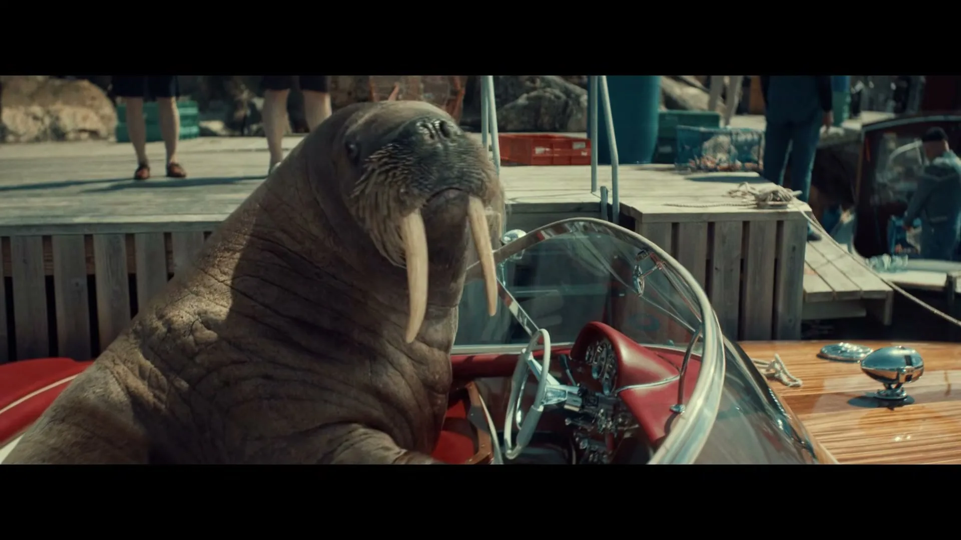 A walrus with large tusks sits in a red and wood speedboat at a dock, looking around with a curious expression.