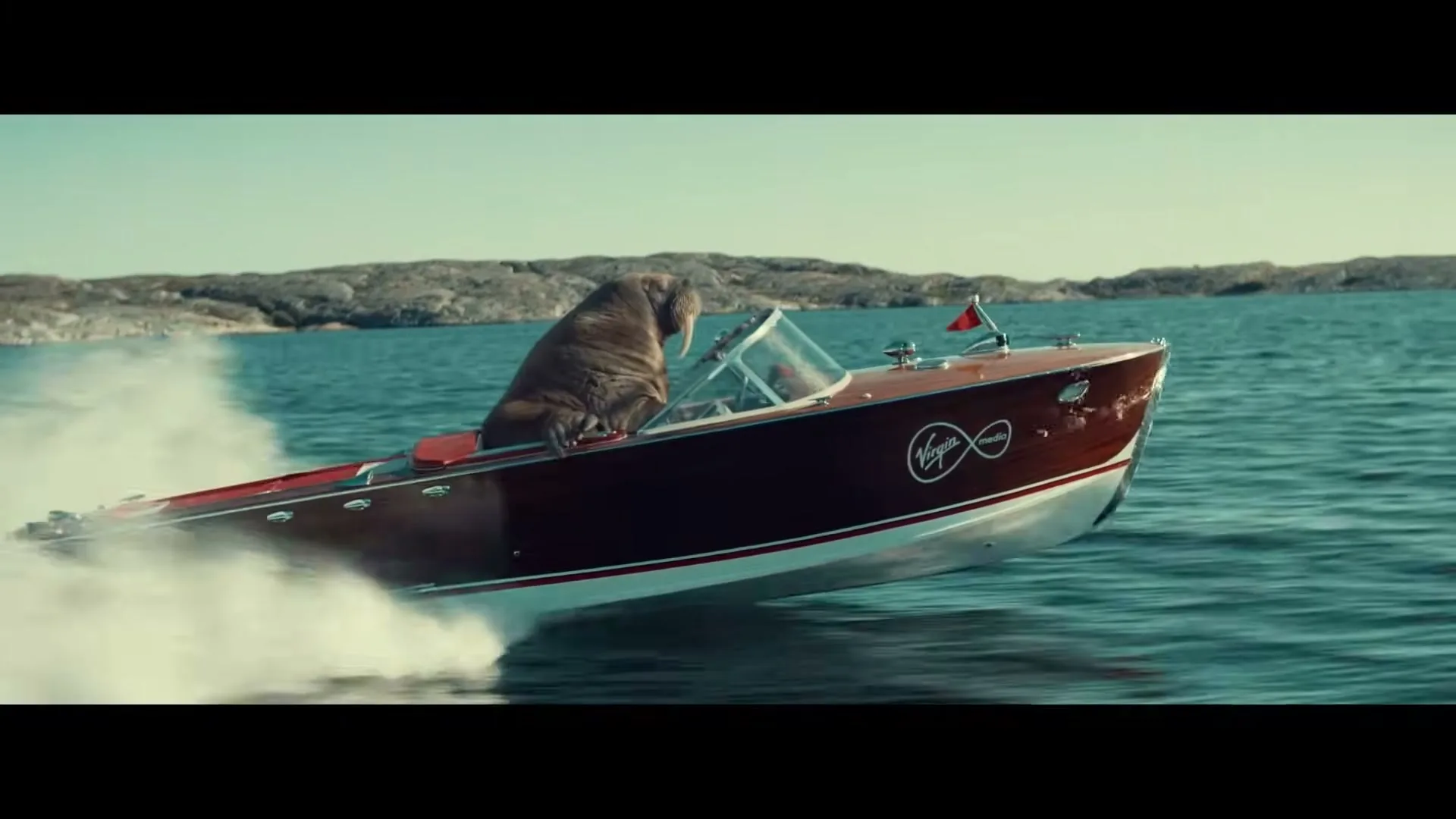 A walrus drives a red and white speedboat across a calm blue sea, leaving a white wake behind it, under a clear sky with rocky islands in the distance.