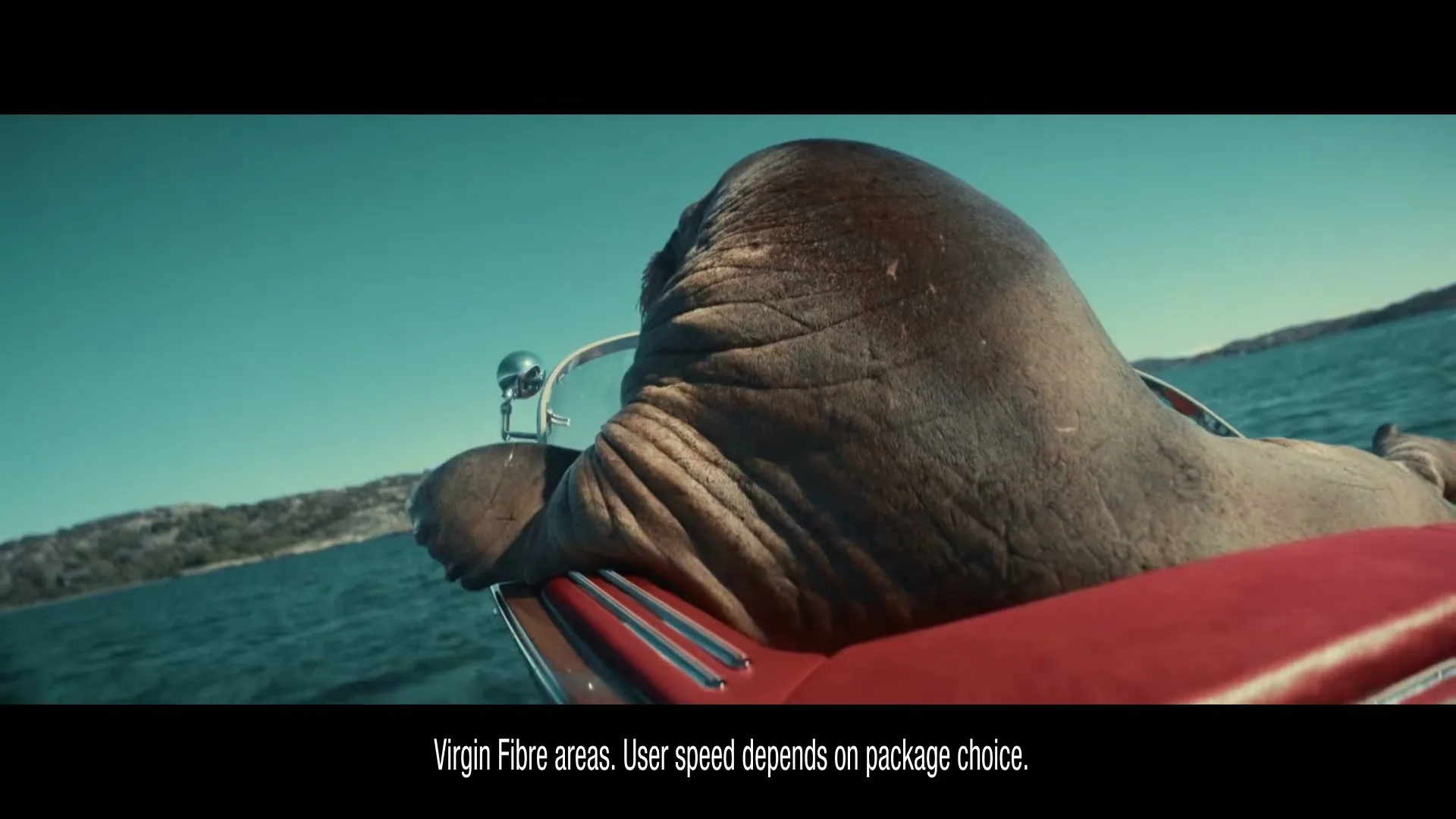 A walrus in a red speedboat, seen from behind, speeds across a blue lake with distant land under a clear sky.