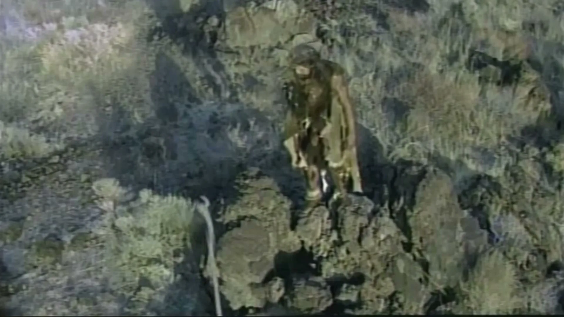 FedEx "Caveman" (2006) commercial still