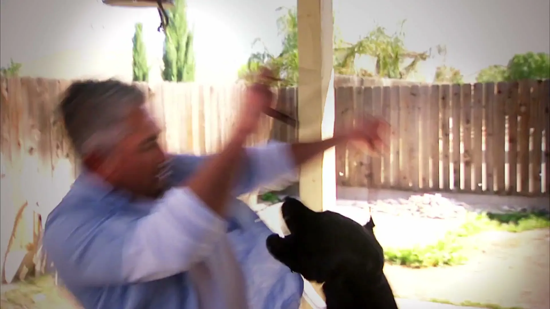 A man in a blue shirt and white t-shirt plays with a black dog in a backyard with a wooden fence.