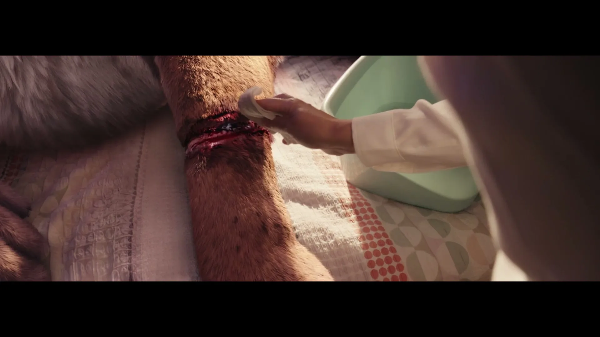 WWF “Tiger In Suburbia”, shot 7