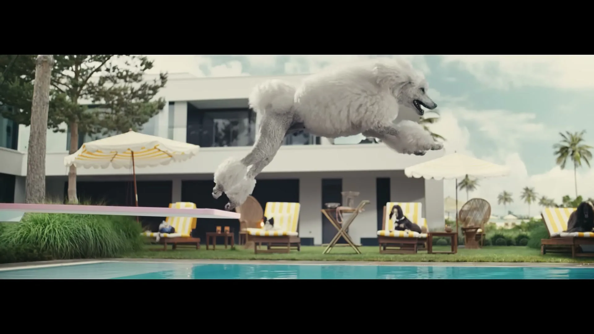 A white poodle jumps off a diving board over a swimming pool, with other dogs lounging on chairs in the background of a modern house.