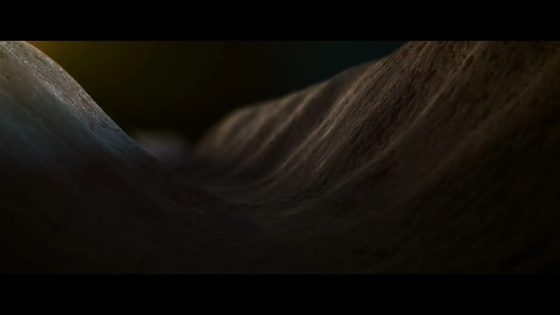 A close-up shot of a dark, textured surface with subtle light reflections, creating a mysterious and abstract visual.