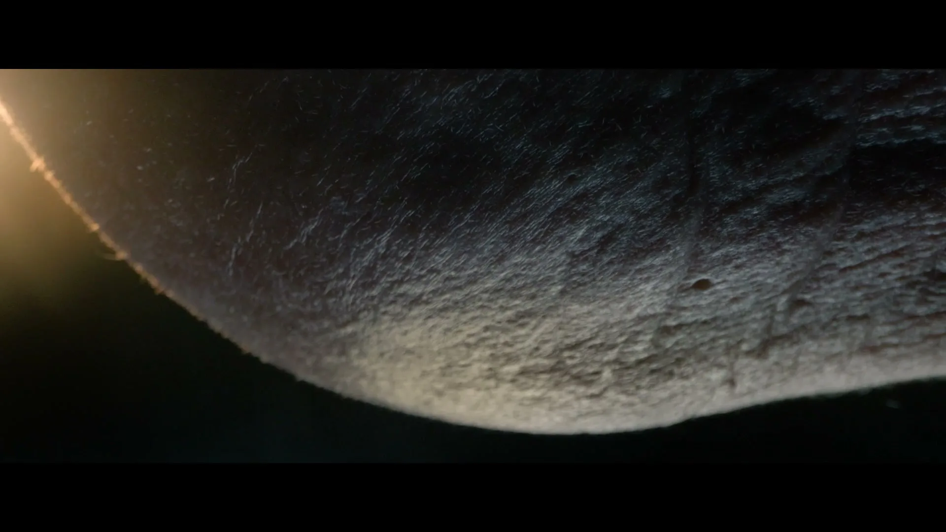 A macro shot of a human elbow, with visible skin texture and hair, is illuminated by a bright light source on the left, creating a dramatic contrast against a dark background.