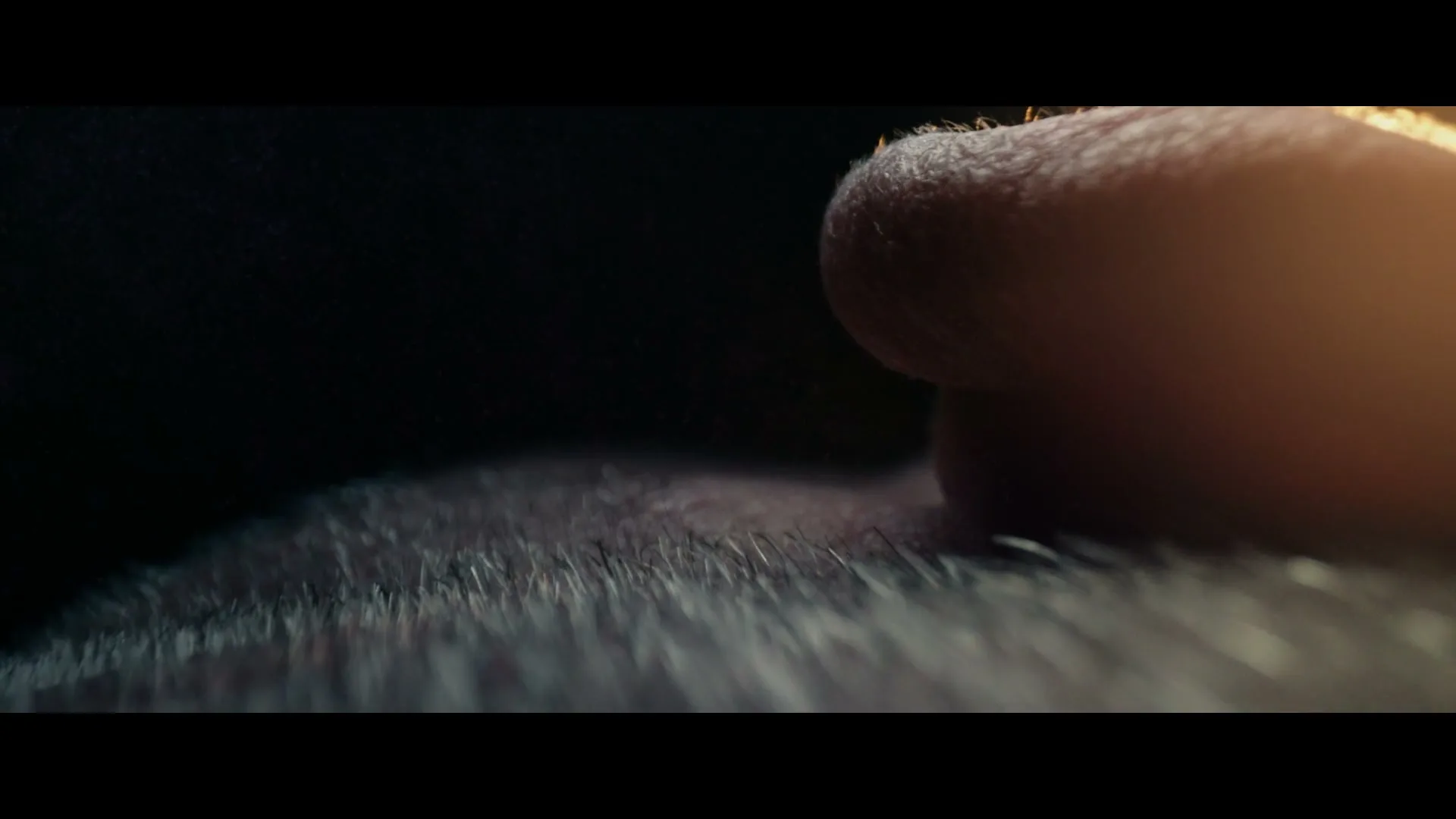 A macro shot of a thumb stroking a furry surface, with a bright light source in the background.