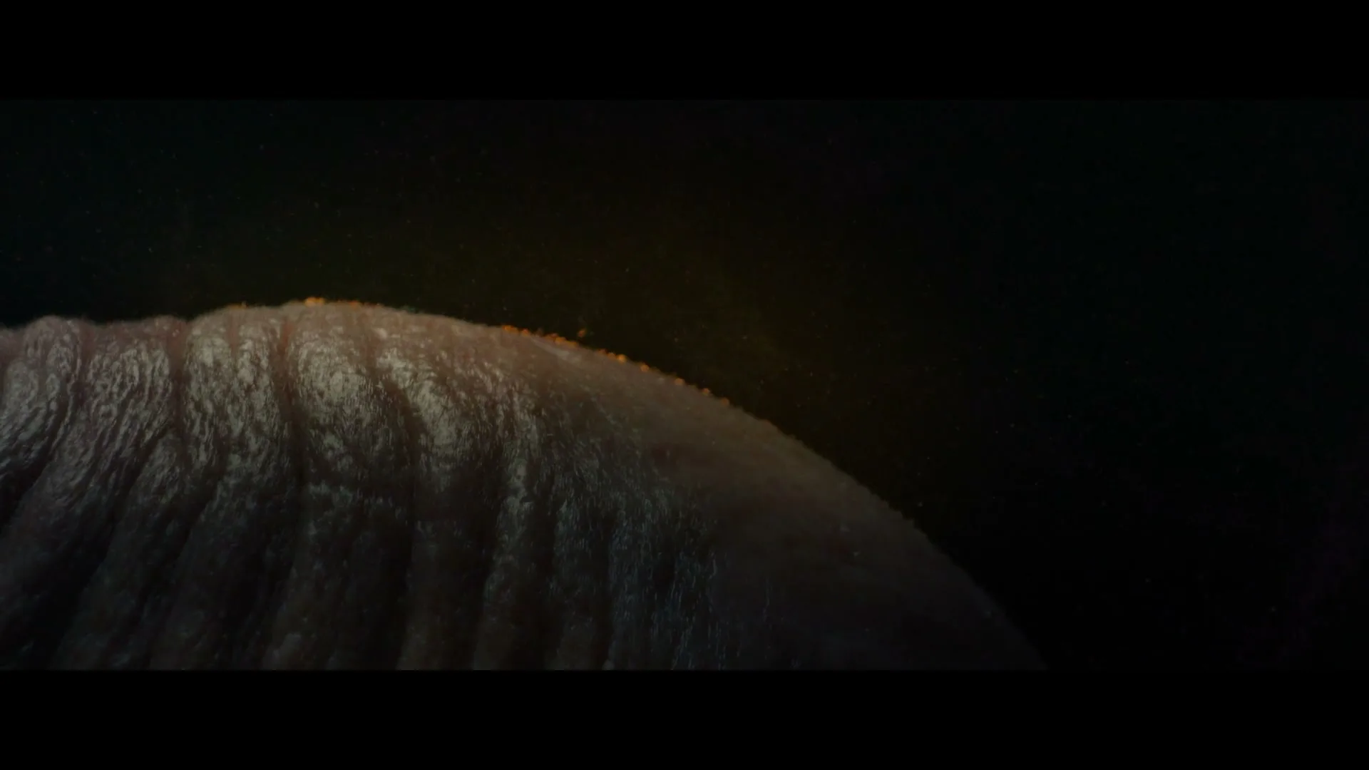 A macro shot of a human finger with a bright light appearing from behind it, creating a lens flare against a dark background.