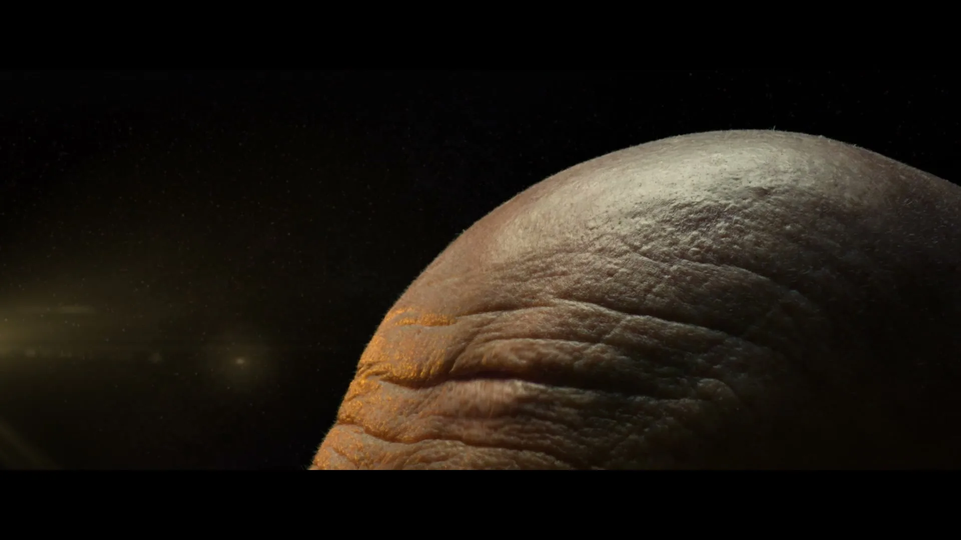 A macro closeup of a human knee with wrinkled skin, illuminated by a warm light, against a dark background.