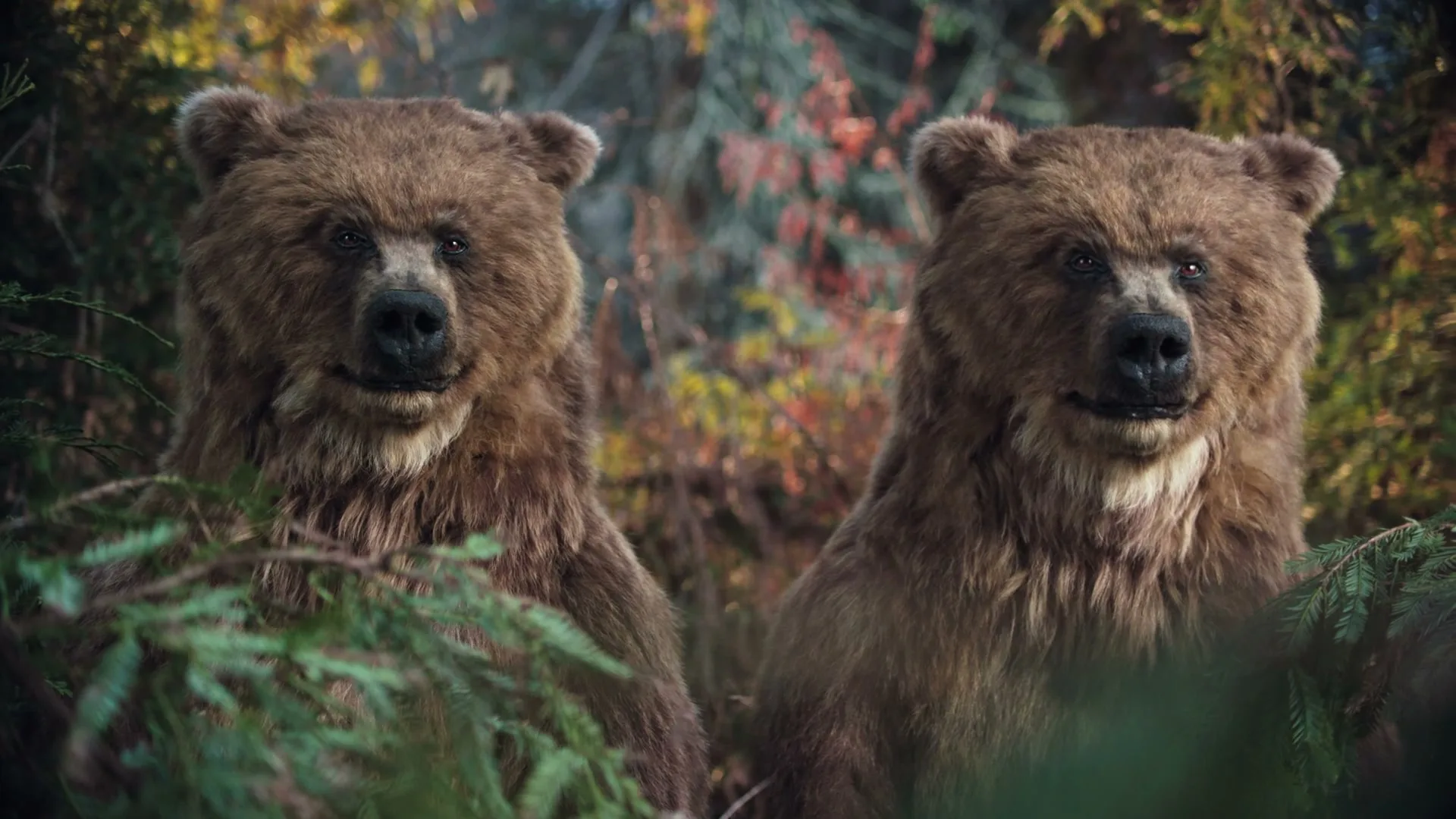 Twix “Bears”