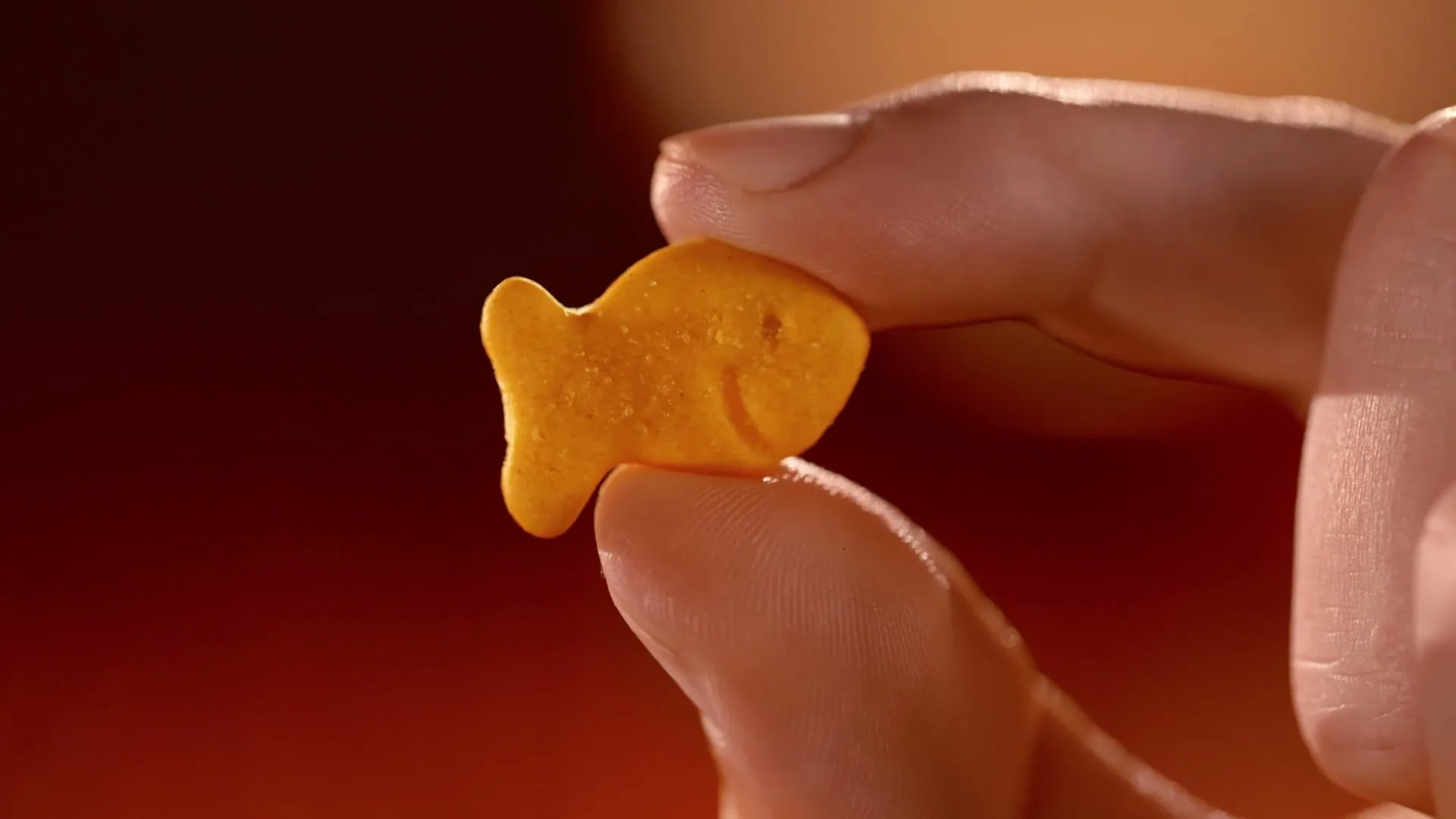 Goldfish “Chilean Sea Bass” (2025), frame 4