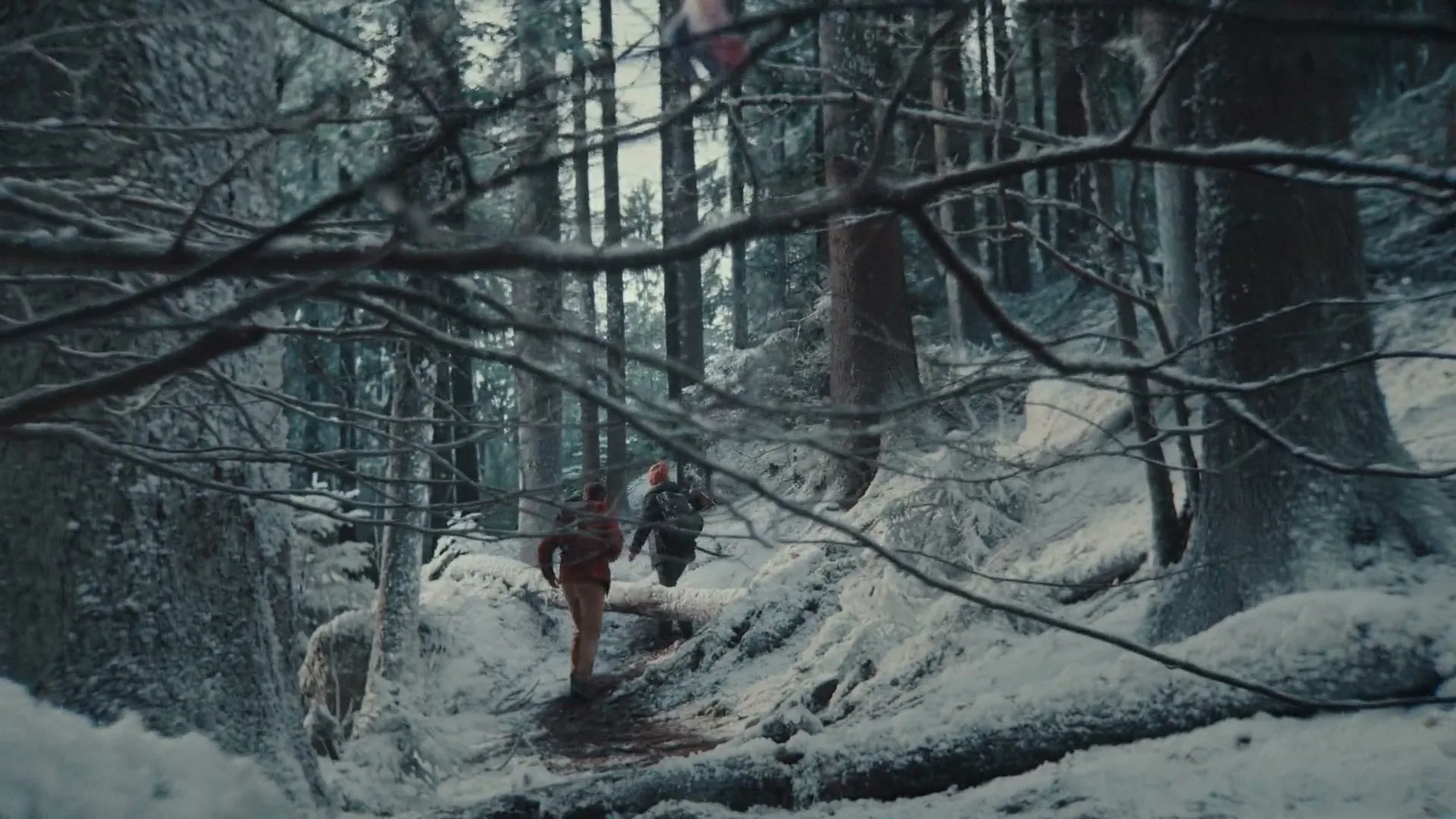 Two people hike through a snowy forest, their backs to the camera, as a small creature watches from a tree branch.