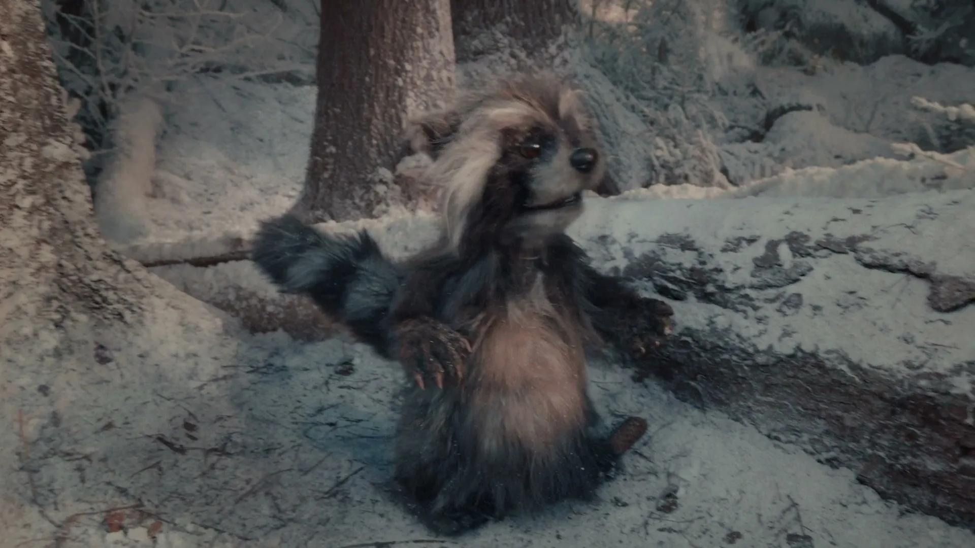 A small, grey, fluffy raccoon-like creature with big eyes sits in a snowy forest, then a larger brown creature's paw stomps down, covering it.