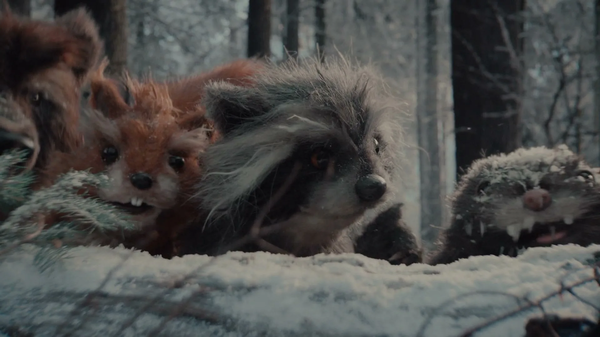 A group of furry forest critters, including a raccoon, squirrel, and hedgehog, peek over a snowy log in a winter forest.