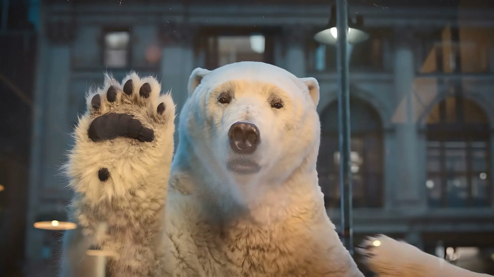 A photorealistic CGI polar bear with a friendly expression waves its paw at the camera, appearing to be outside a building at night.