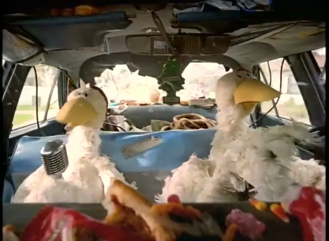 Two white chicken puppets are seen from the back seat of a messy car, with one puppet speaking into a microphone.