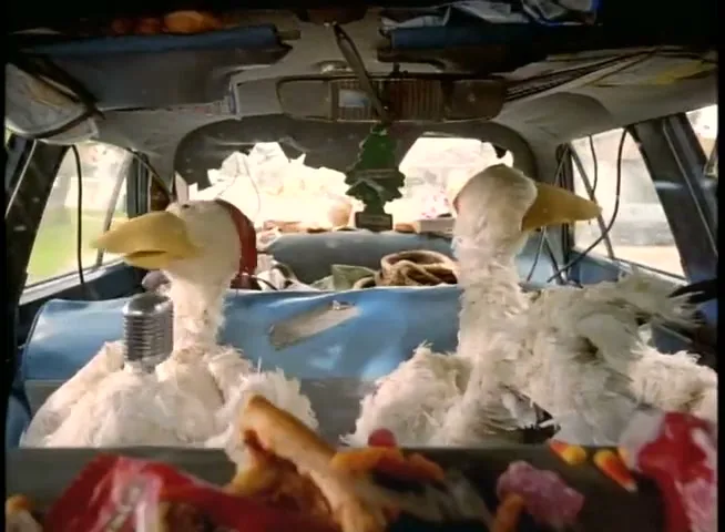 Two white chicken puppets with yellow beaks sit in the back of a messy car, one with a microphone, as they talk to each other.