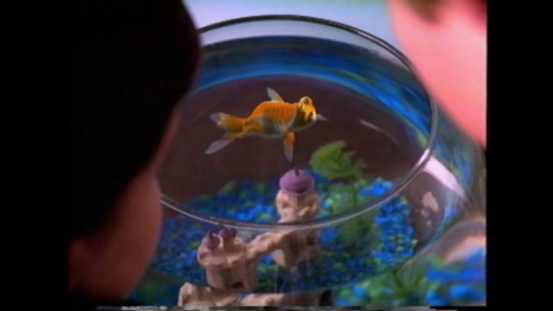 A goldfish swims in a fishbowl, seen from over the shoulder of a person looking at it, in an interior setting.
