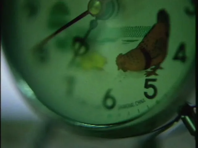 A close-up shot of a green-tinted alarm clock with a chicken illustration on its face, as the second hand ticks.
