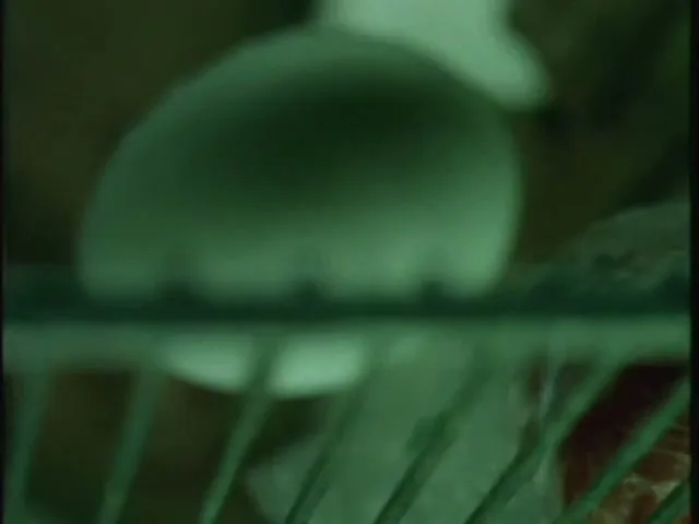 A person's hand gently places a single egg onto a metal rack, with a blurry background, in a dark, mysterious setting.