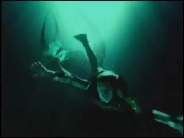 A person in a dark wetsuit swims underwater, with light rays piercing the dark green water from above.