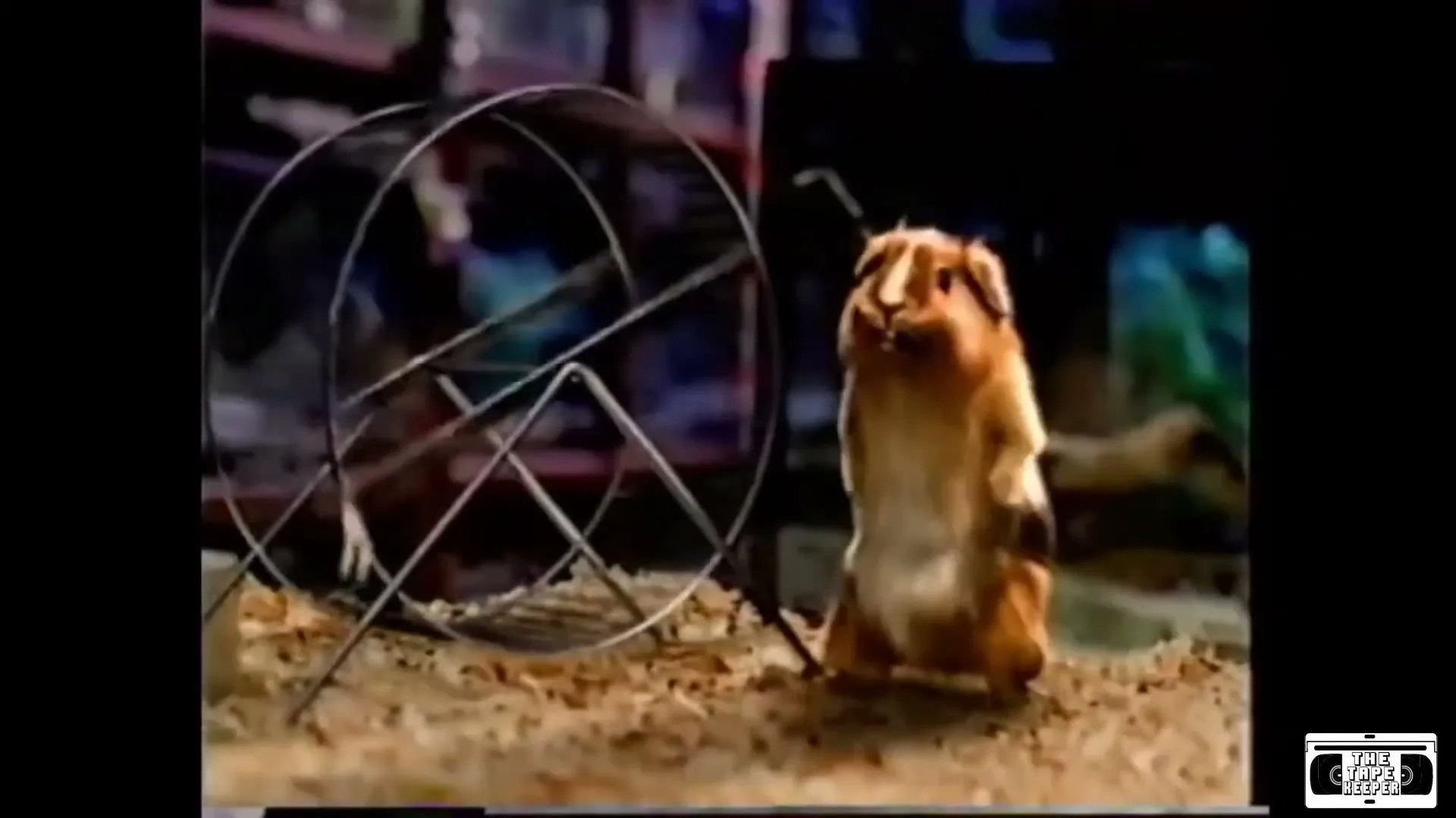 Blockbuster “Carl & Ray/Kung Fu” (2002), frame 4