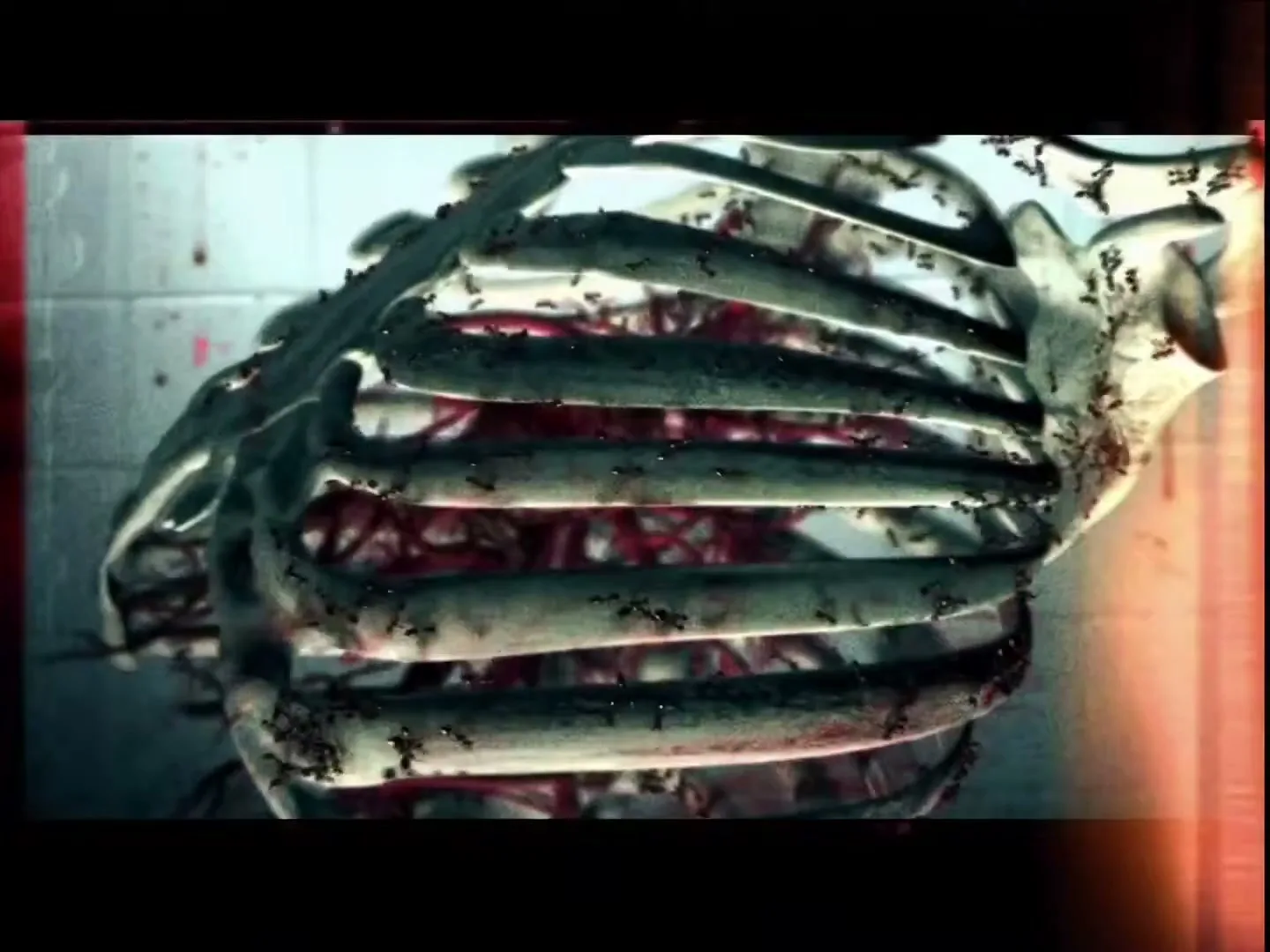 Toyota “Snakebite” (2004), frame 5