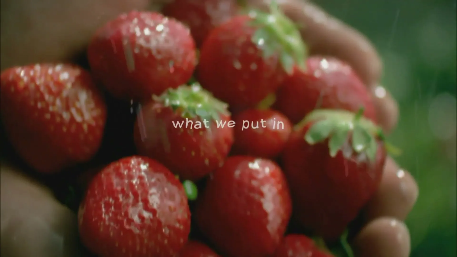 A person's hands hold a generous handful of fresh, wet strawberries, with a soft green background, as text appears on screen.