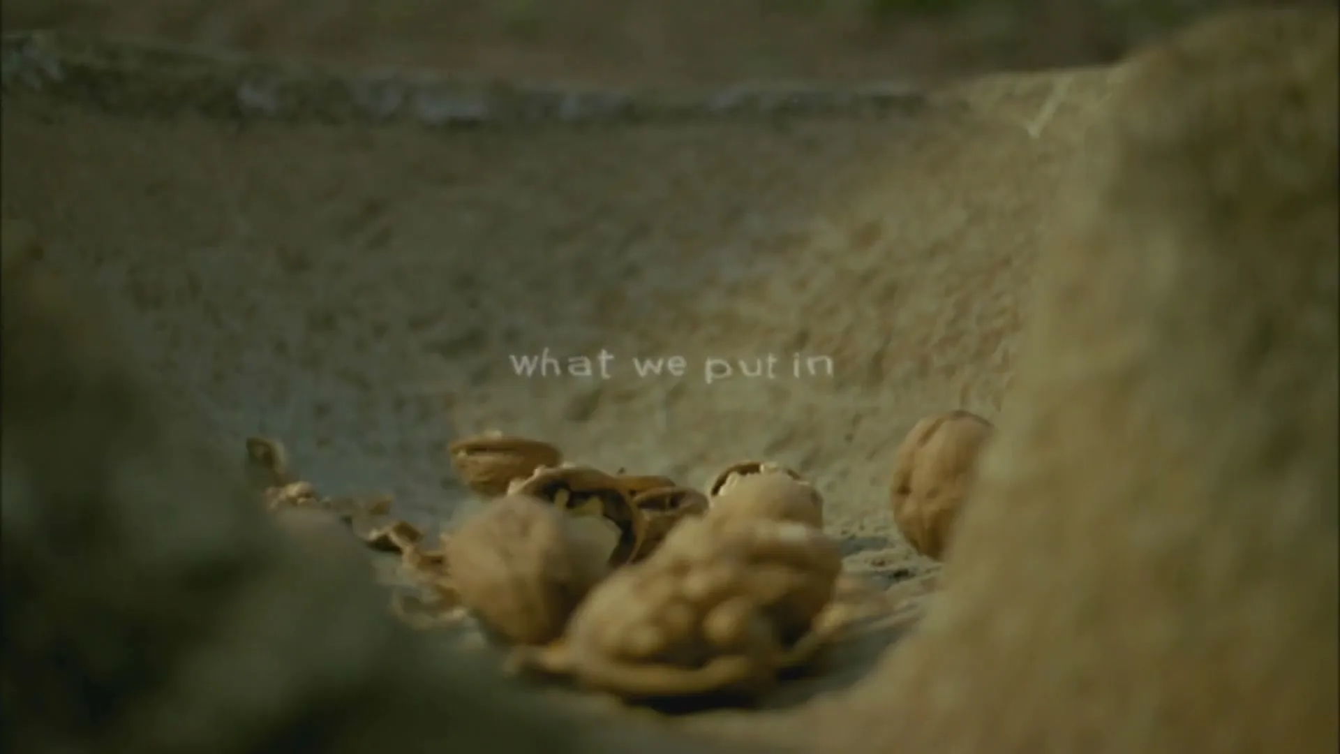 A close-up shot shows walnuts and walnut shells on a textured, earthy surface, with the text "what we put in" appearing on screen.