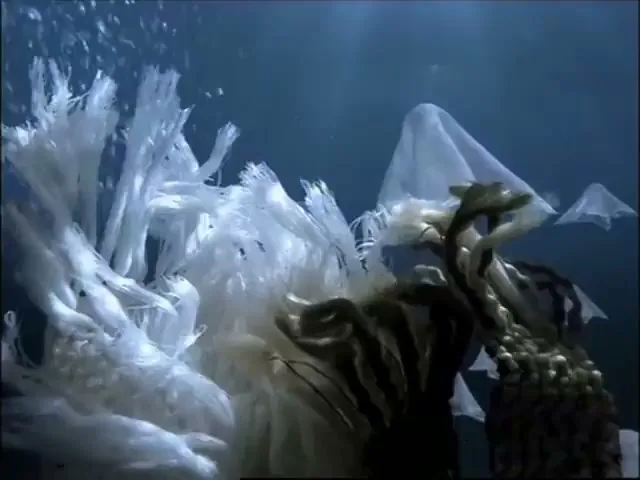 Aqualtis Washing Machine “Underwater World” (2007), frame 4
