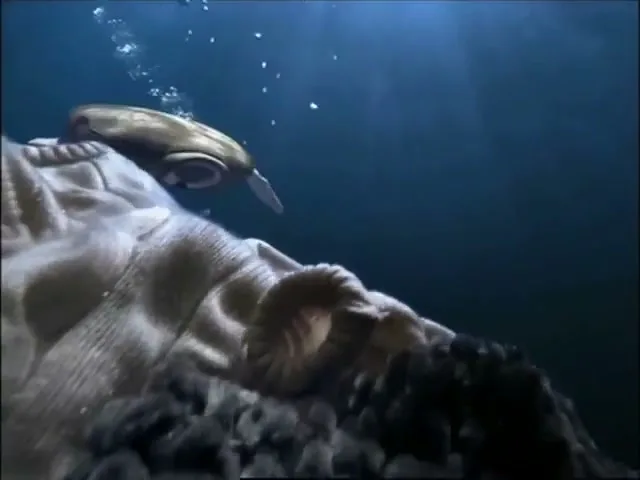 Aqualtis Washing Machine “Underwater World” (2007), frame 6