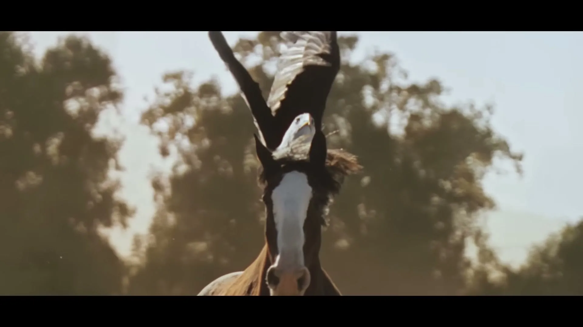 Budweiser "American Icons" (2026) commercial still