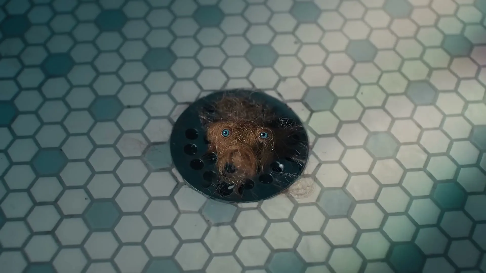 A hairball with blue eyes and a small nose is seen in a shower drain on a tiled floor, with water swirling around it.