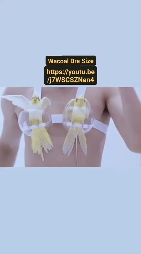 Wacoal Sports “Wow Girls’ Lab”