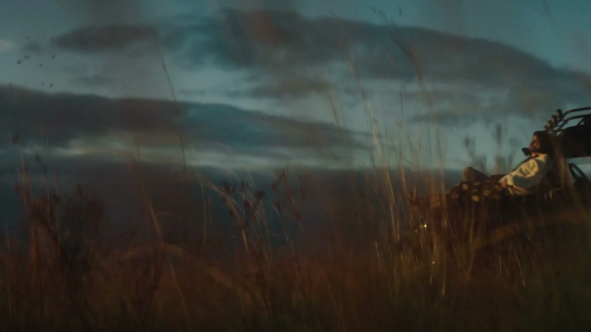 Pfizer “Beautiful Dreamer” (2019), frame 2