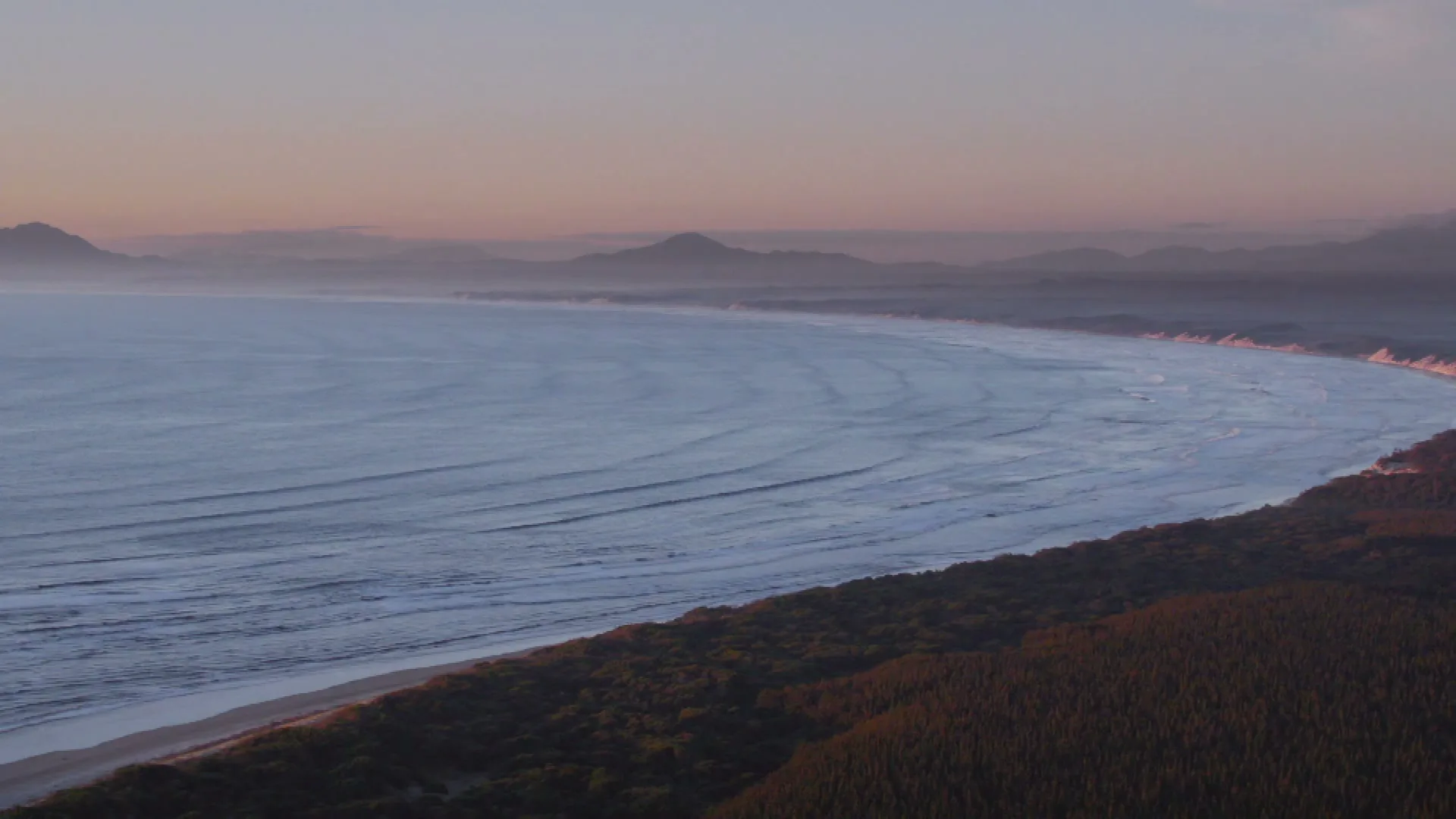 An aerial wide shot captures a vast, misty coastline with gentle waves rolling onto a sandy beach, backed by dark green forests and distant mountains under a soft, twilight sky.