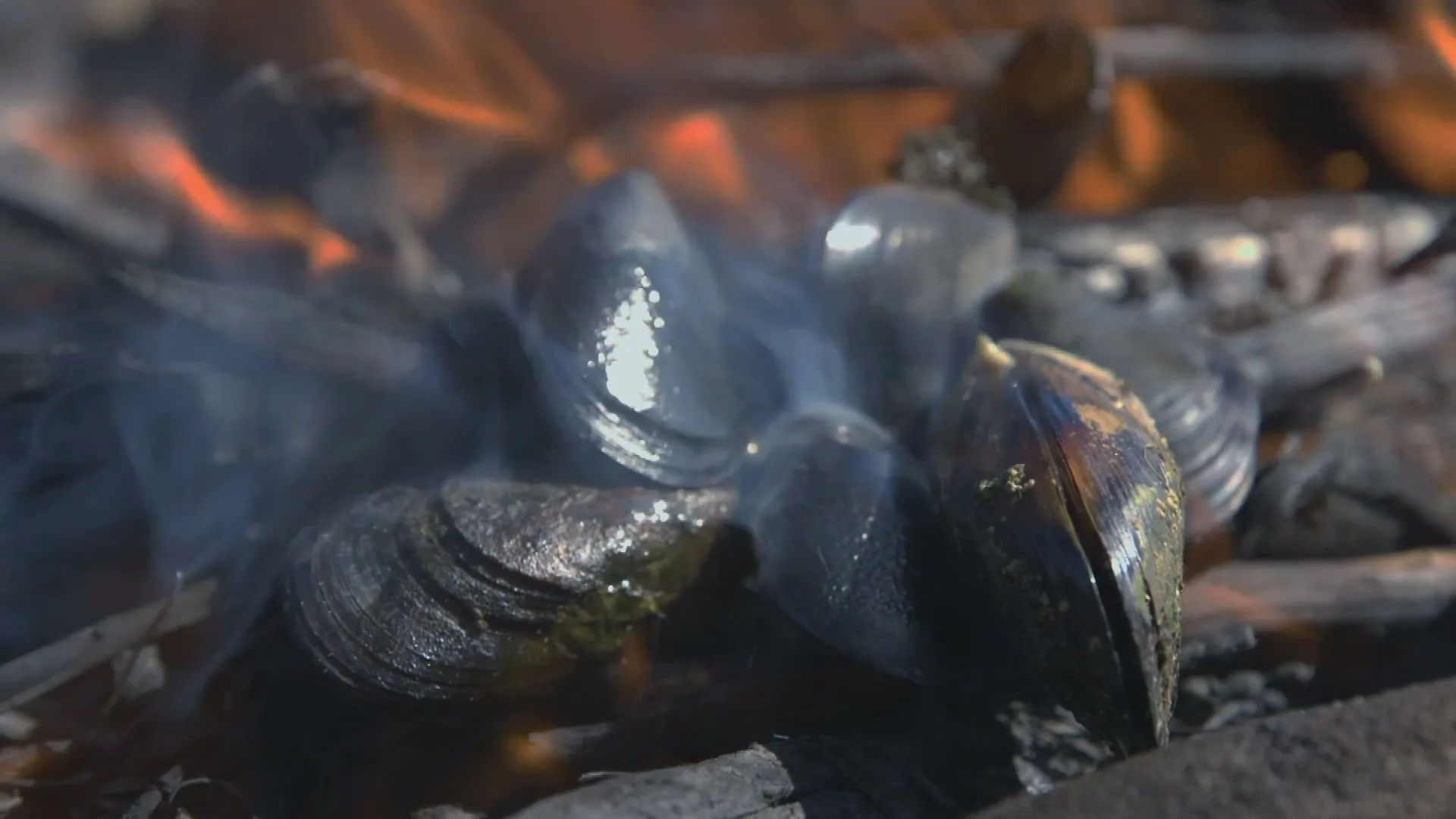 A person cooks mussels in a pan over an open fire, with steam rising from the pan, in an outdoor setting.