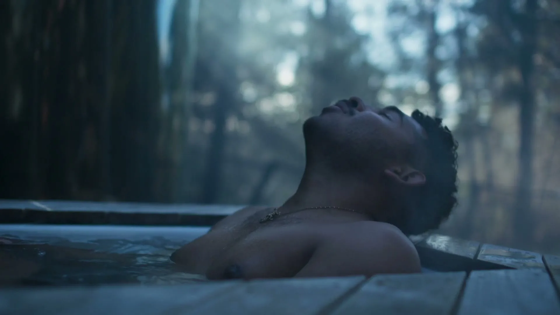 A man with dark curly hair and a gold chain relaxes in a wooden hot tub, steam rising around him in a forest setting.
