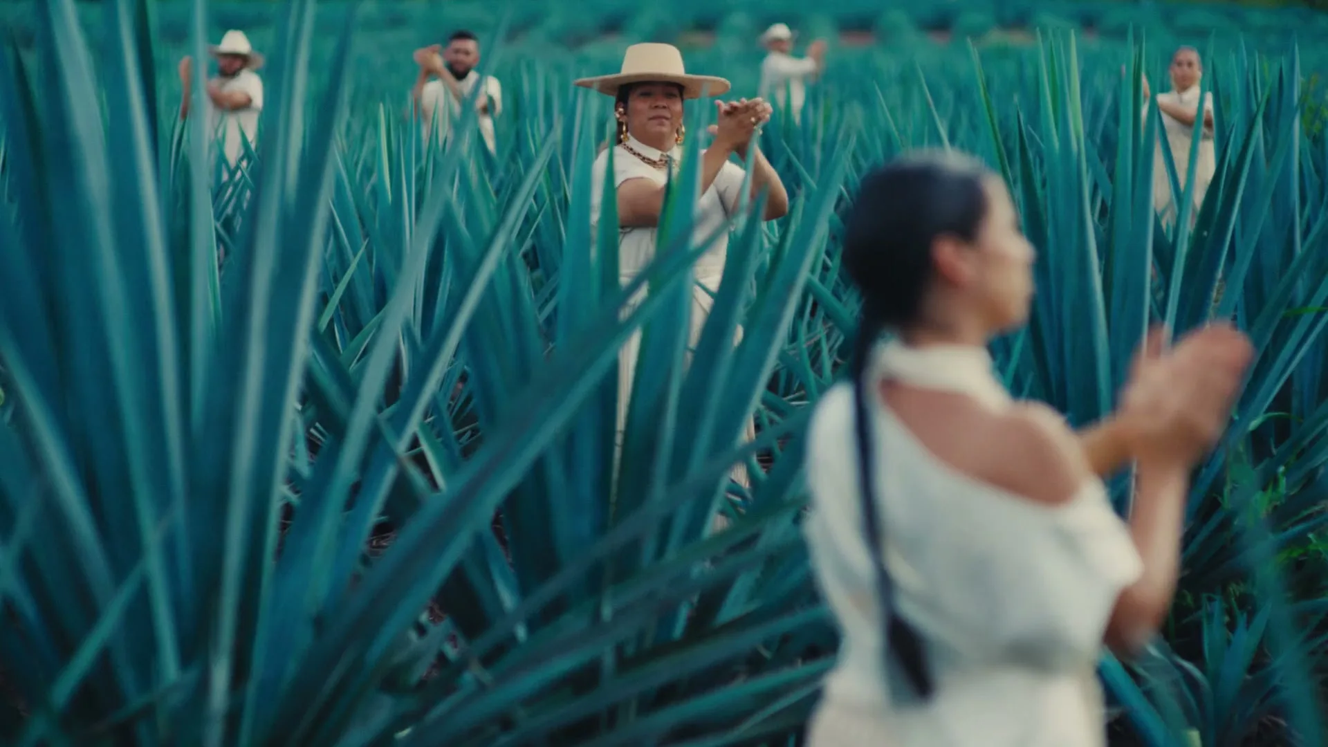 A group of people in white clothing and hats stand in a field of blue agave plants, clapping their hands in unison.